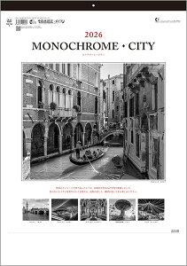 Ǌ|J_[@30ypizmN[EVeBy J_[ J_[  Ж c̖@bgzyyMt_z {i