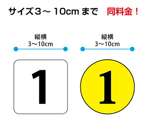 XebJ[ 3cm`10cm܂œI@V[ ^Cv Xg@JtF@