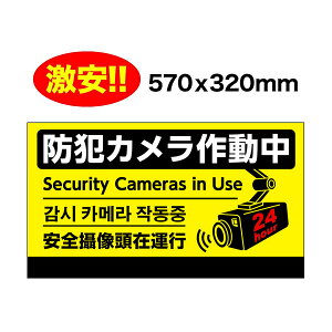 �h�ƃJ�����쓮���@�t���J���[ �Ŕ� �@4�P����i���{��E�p��E������E�؍���j