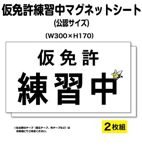 yv킸IAHzy2gzƋK@}OlbgV[g@FTCY300x170mm@Kp@CȂn`̃CXgĂ݂܂B