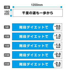 yhEόdlzKiJ[XebJ[Zbg6Zbg