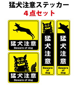 yRSLzҌӃXebJ[Zbg@4@100xc100mm+45xc180mm