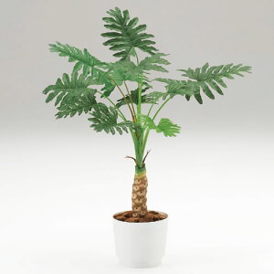 lH Cg[L ITOKI J Z[ H120cm [ Е J ݒut ]