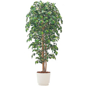 �l�H���� �l�H �ϗt�A�� �t�F�C�N�O���[�� �j�e�B�_ ���j�Z�� H150cm �C�g�[�L �J���� [ ���Е� �J�� �ݒu�t ] ITOKI