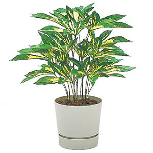 �l�H���� �l�H �ϗt�A�� �t�F�C�N�O���[�� �X�p�C�_�[ ���c�f ���� ������ H55cm �C�g�[�L �J���� [ ���Е� �J�� �ݒu�t ] ITOKI