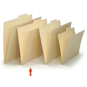 t@Cpi Cg[L ㌩oʃtH_[ B4p/^Cvy50Zbgz