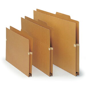 �t�@�C���p�i �C�g�[�L �㌩�o�����o�� (����) �t�H���_�[ �f�[�^�p�y10���Z�b�g�z