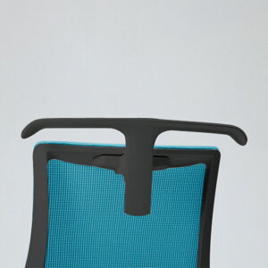 nK[ Cg[L Gt`FA pIvV Е JEݒut nK[̂ ITOKI