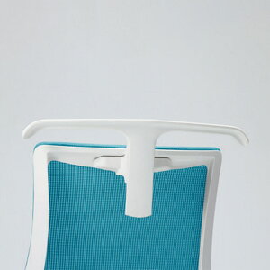 nK[ Cg[L Gt`FA pIvV Е JEݒut nK[̂ ITOKI