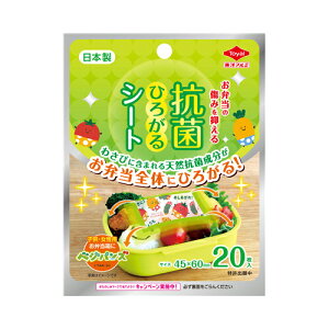 mA~GR[v_NcЍRۂЂ낪V[gxWpY@[֑