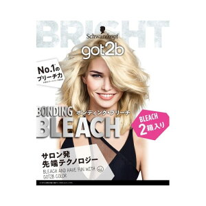 �w���P���W���p���������got2b�@�{���f�B���O�E�u���[�`�@2������@��������