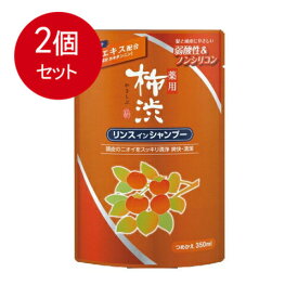 2個まとめ買い 薬用柿渋リンスインシャンプー　詰替 メール便送料無料 × 2個セット