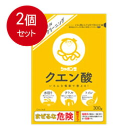 2個まとめ買い シャボン玉石けん シャボン玉 クエン酸 300gメール便送料無料 ×2個セット