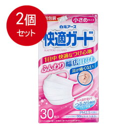 2個まとめ買い 快適ガードマスク　小さめサイズ30枚入送料無料 × 2個セット