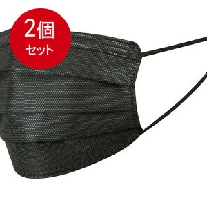 2܂Ƃߔ xm PFE99JbgtB^[}XN 30 × 2Zbg