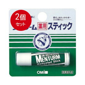 2個まとめ買い メンターム薬用スティック リップクリーム レギュラータイプ 4g メール便送料無料 × 2個セット