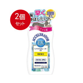 2個まとめ買い ヘアアクセルレーターEX フローラルアップルの香り送料無料 × 2個セット