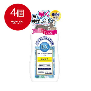 4܂Ƃߔ Tf{ wAANZ[^[EX t[Abv̍著 × 4Zbg