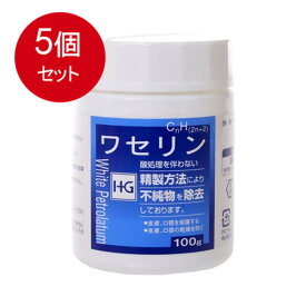 5個まとめ買い 大洋製薬 皮膚保護　ワセリンHG　100g送料無料 ×5個セット