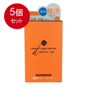 5個まとめ買い 柿渋エキス配合 薬用デオドラント アロマティックソープ 100g メール便送料無料 × 5個セット