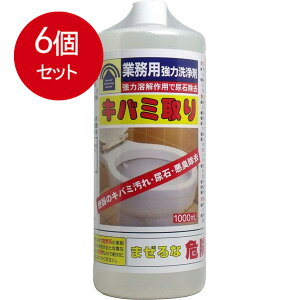 6܂Ƃߔ Ɩp͐ Lo~ 1000mL × 6Zbg
