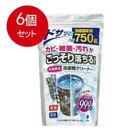 6個まとめ買い 紀陽除虫菊 非塩素系 洗濯槽クリーナー プロ仕様 750g入送料無料 ×6個セット