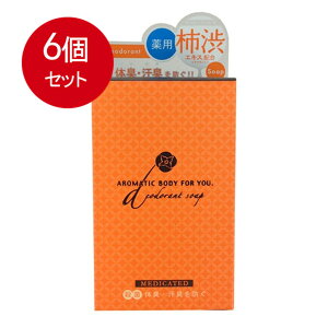 6܂Ƃߔ `aGLXz pfIhg A}eBbN\[v 100g@ × 6Zbg