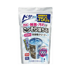 紀陽除虫菊 非塩素系 洗濯槽クリーナー プロ仕様 750g入　送料無料