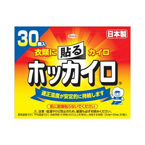 興和 ホッカイロ貼るレギュラー30P 送料無料