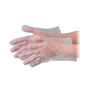 No.341 |N[G{X Hiq@K ĝĎܔ STCY  100@