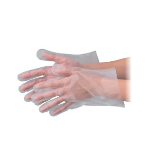 No.3001 GuPAG{X25 Hiq@K ĝĎܔ LTCY ܓ 100@