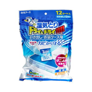 A[X CƂ hC&hCUP oEߑP[Xp 12V[g@