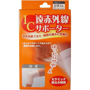 nVEjbg ICԊOT|[^[@Ђp@LLTCY@1@