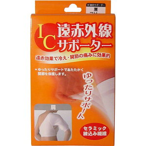 nVEjbg ICԊOT|[^[@p@t[TCY@1@