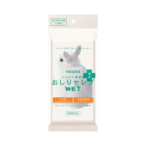 qlsA lsA gCɗ ZuWET p łp 12@[֑