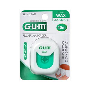 TX^[ GUM K f^tX bNX 40m@[֑