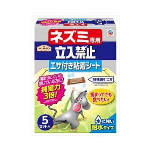 A[XEG lY~p֎~GTtSS 5Zbg |piEDIY 