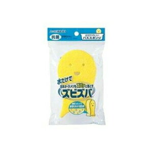 z[v_NcYrYo؂̂oXX|W |pi oXp|pi