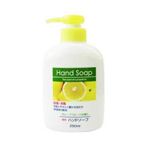 ΌΌpnh\[v{250ML XLPA 􂢗p