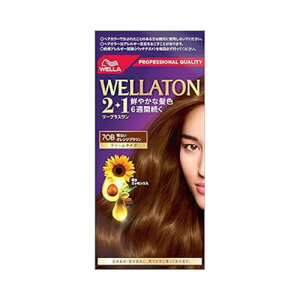 HFCvXe[W EGg[2{1 N[^Cv 7OB ϕi ѐ