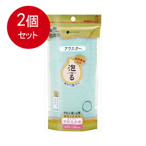 2܂Ƃߔ LN AX^[ 炩 G [֑ × 2Zbg Eʗpi Cpi