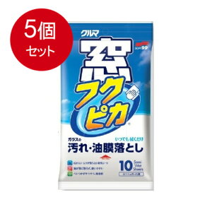 5܂Ƃߔ \tg99R[|[V SOFT99 ( \tg99 ) EBhEPA tNsJ 10 04071 [֑ ×5Zbg ԁE]ԁEoCNpi J[pi