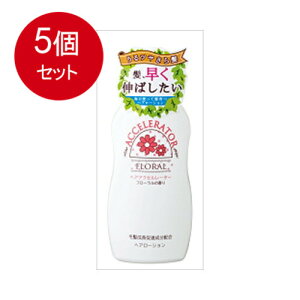 5܂Ƃߔ Tf{ wAANZ[^[F t[̍著 × 5Zbg ϕi 