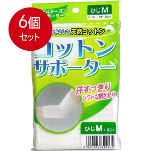 6܂Ƃߔ RbgT|[^[ Ђp MTCY (1) [֑ × 6Zbg