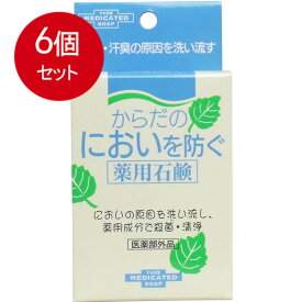 6個まとめ買い からだのにおいを防ぐ薬用石鹸 110g 送料無料 × 6個セット