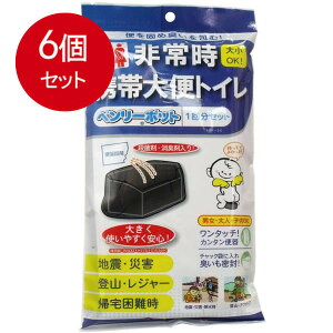 6܂Ƃߔ x[|bg 펞gёփgC 1񕪃Zbg  × 6Zbg