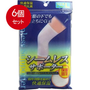 6܂Ƃߔ V[XT|[^[ Ђp LTCY 1 [֑ × 6Zbg