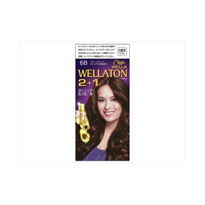 HFCvXe[W EGg[2{1 N[^Cv 6B ϕi ѐ