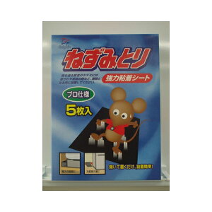 ۑPiY DN͂˂ݎ5P E lY~