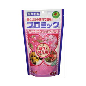 nC|lbNXWp v~bN ԁEԗp 350G |piEDIY 엿E͍